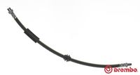 BREMBO T06038 - Manguera de frenos - ESSENTIAL LINE