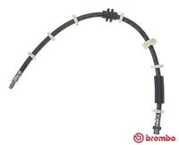 BREMBO T23031 - Manguera de frenos - ESSENTIAL LINE