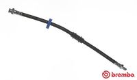 BREMBO T23133 - Manguera de frenos - ESSENTIAL LINE