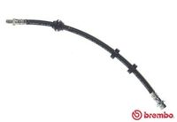 BREMBO T24035 - Manguera de frenos - ESSENTIAL LINE