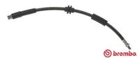 BREMBO T24116 - Manguera de frenos - ESSENTIAL LINE