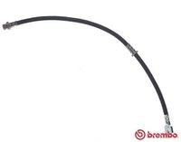 BREMBO T54053 - Tubo flexible de frenos - ESSENTIAL LINE