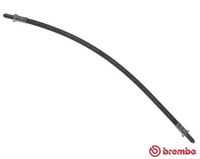 BREMBO T44007 - Manguera de frenos - ESSENTIAL LINE