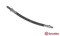 BREMBO T24101 - Tubo flexible de frenos - ESSENTIAL LINE