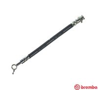 BREMBO T56160 - Manguera de frenos - ESSENTIAL LINE