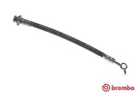 BREMBO T56162 - Manguera de frenos - ESSENTIAL LINE