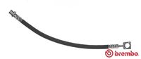 BREMBO T59081 - Manguera de frenos - ESSENTIAL LINE