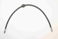 BREMBO T59089 - Manguera de frenos - ESSENTIAL LINE