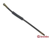 BREMBO T61070 - Manguera de frenos - ESSENTIAL LINE