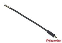 BREMBO T68020 - Manguera de frenos - ESSENTIAL LINE