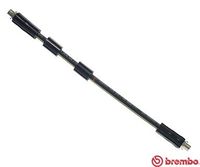 BREMBO T85041 - Manguera de frenos - ESSENTIAL LINE