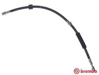 BREMBO T85144 - Manguera de frenos - ESSENTIAL LINE