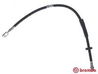 BREMBO T85157 - Manguera de frenos - ESSENTIAL LINE