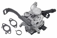 CASCO CVG70017GS - Válvula EGR - Genuine