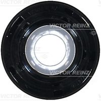 VICTOR REINZ 811057800 - Lado de montaje: frontal<br>Peso [kg]: 0,14<br>