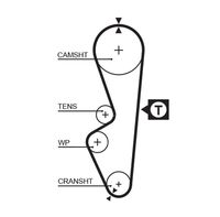 GATES 5070 - Número de dientes: 110<br>Longitud [mm]: 1048<br>Ancho [mm]: 17<br>División dientes [mm]: 9,525<br>