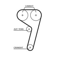 GATES 5669XS - Código de motor: JTJC<br>Número de dientes: 117<br>Ancho [mm]: 22<br>para artículo nr.: TBK104<br>para artículo nr.: TBK105<br>para artículo nr.: TBK177<br>para artículo nr.: TBK263<br>Correas: con perfil redondeado de dientes<br>