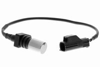 RIDEX 833C0175 - N.º de chasis (VIN) hasta: 239999<br>Peso [kg]: 0,100<br>Resistencia [Ohm]: 130<br>Longitud de cable [mm]: 355<br>Tipo de sensor: inductivo<br>Número de enchufes de contacto: 2<br>Profundidad de montaje [mm]: 36,5<br>Artículo complementario / información complementaria 2: con cable<br>Color de carcasa: negro<br>Forma del enchufe: oval<br>
