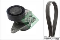 Schaeffler INA 529055710 - Unidades accionadas: Alternador<br>Equipamiento de vehículo: para vehículos con climatizador<br>Longitud 1 [mm]: 1825<br>Número de nervaduras: 6<br>Poleas: con polea de rueda libre<br>Artículo complementario / información complementaria 2: Revisar/sustituir poleas libres del alternador<br>SVHC: No existen sustancias SVHC<br>