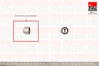 DAYCO ATB2040 - Polea tensora, correa dentada