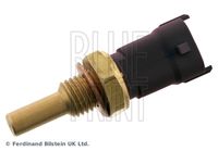 BLUE PRINT ADBP720036 - Sensor, temperatura del refrigerante