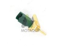 MOTAQUIP LVCT114 - Sensor, temperatura del refrigerante