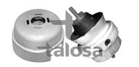 TALOSA 61-06580 - Soporte, motor
