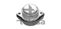 TALOSA 6206599 - Tipo de cojinetes: Rodamiento de caucho-metal<br>Lado de montaje: Lado del vehículo<br>Peso [kg]: 0,32<br>
