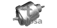TALOSA 6206966 - Lado de montaje: posterior<br>Tipo de cojinetes: Rodamiento de caucho-metal<br>Peso [kg]: 1,082<br>