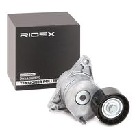RIDEX 310T0368 - Ancho [mm]: 31<br>Diámetro interior [mm]: 17<br>Diámetro exterior [mm]: 60<br>Material: Plástico<br>Número de fabricación: RNK-RE-040<br>