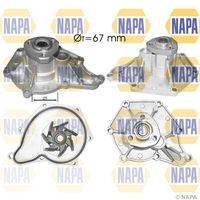 NAPA NWP1039 - Bomba de agua, refrigeración del motor