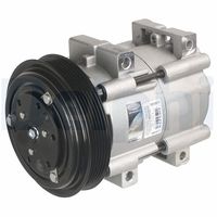 DELPHI TSP0159111 - Compresor, aire acondicionado