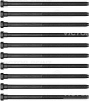 VICTOR REINZ 143238401 - Juego de tornillos de culata