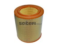 RIDEX 8A0141 - Filtro de aire