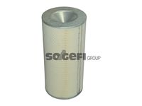 RIDEX 9F0059 - Filtro combustible