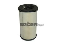 MANN-FILTER C261220 - Filtro de aire