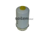 RIDEX 9F0123 - Filtro combustible