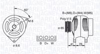 HELLA 8EL011710101 - Alternador